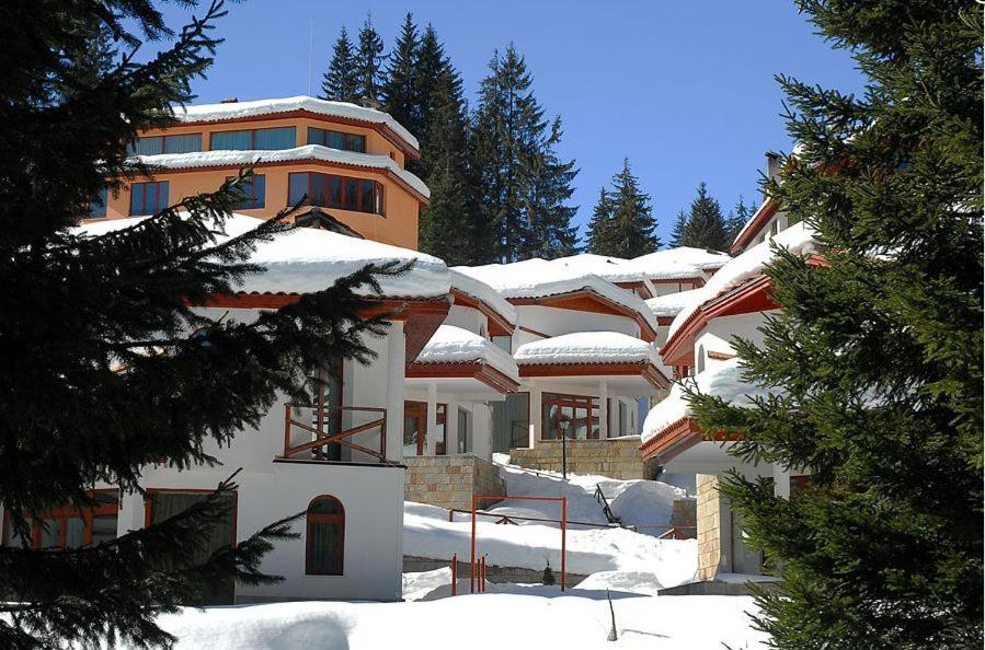 Ski Villa In Pamporovo Forest Exterior foto